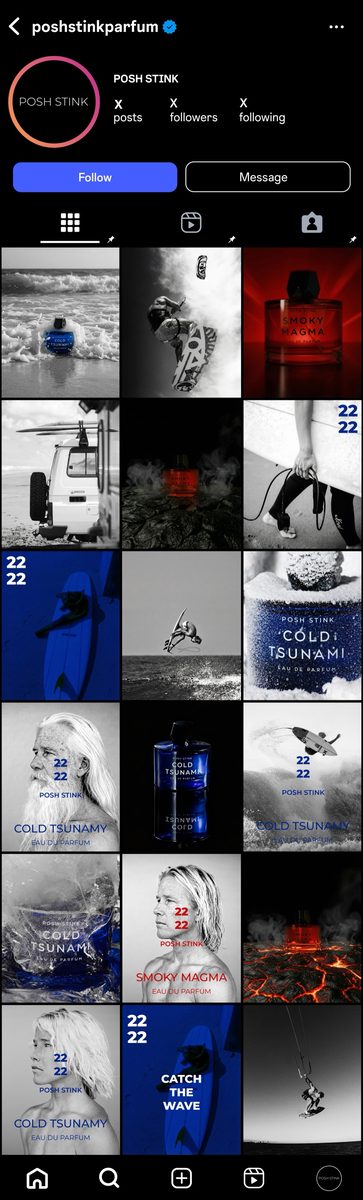 Posh Stink Instagram grid · Alkeme Design